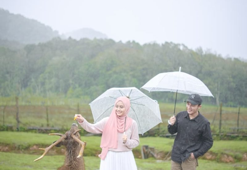 Fauziah & Ismail 7